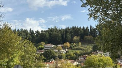 Photo of Παραμονή 28ης Οκτωβρίου με… ανοιξιάτικη διάθεση στα Τρίκαλα!