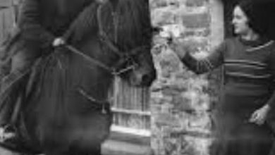 Photo of Δίκτυο ΠΙΝΔΟΣ:  Το γράμμα της ορεινής Ελλάδας δεν πρέπει να μείνει χωρίς παραλήπτη