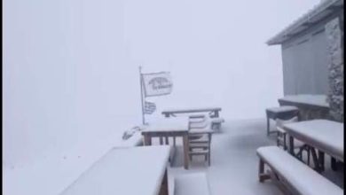 Photo of Πραγματοποιήθηκε η Γενική Συνέλευση του Ελληνικού Σωματείου Συνοδών Βουνού