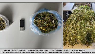 Photo of Σύλληψη για παράβαση της νομοθεσίας περί ναρκωτικών στη Λάρισα