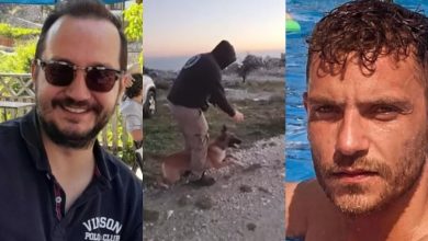 Photo of Η ανακοίνωση για τον θάνατο του Echo που εντόπισε τον Μπάμπη Κούτσικο και τον Βασίλη Καλογήρου