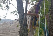 Photo of Highline σε βράχους του Καστρακίου – Τρεις τουρίστες οδηγήθηκαν στο Α.Τ. Μετεώρων