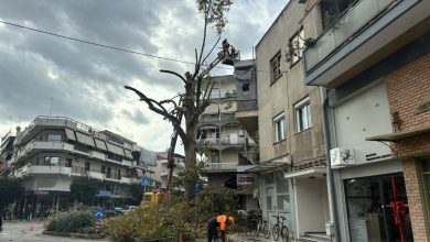 Photo of Πληγωμένος πλάτανος στα Τρίκαλα: Μάχη για να σωθεί το ιστορικό δέντρο στη συμβολή Ιπποκράτους – Βαλαωρίτου