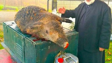 Photo of Ο πατήρ Βασίλειος… και ο κάπρος των 250 κιλών στα Σερβωτά!