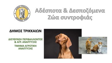 Photo of Ενημέρωση του Δ. Τρικκαίων στο 12ο Δημοτικό Σχολείο Τρικάλων για δεσποζόμενα και αδέσποτα ζώα