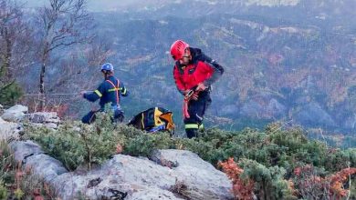 Photo of Αγριόχοιροι και κυνηγόσκυλα βούτηξαν σε γκρεμό 100 μέτρων – Δύο σκύλοι νεκροί, ένας διασώθηκε από την ΕΜΑΚ
