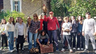Photo of Ένα ζωντανό μάθημα στη Φύση – Το 4ο Γυμνάσιο στον κήπο του Δημήτρη Τουφεξίδη