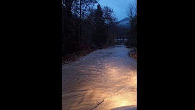 Photo of Σκληρή νύχτα για τους κατοίκους της Κρανιάς, του Στεφανίου και των Δολιανών – Χωρίς ρεύμα από το πρωί της Παρασκευής