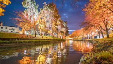 Photo of Λαμπερά Τρίκαλα με την υπογραφή Λαφαζάνη και 108.000 λαμπιόνια