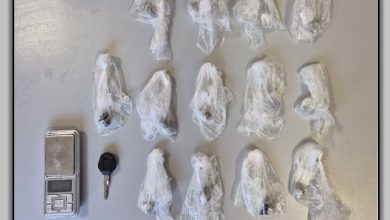 Photo of Συνελήφθη ανήλικος στη Λάρισα για παράβαση της νομοθεσίας περί ναρκωτικών