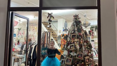 Photo of ΚΔΑΠ «ΟΜΟΝΟΙΑ» Δ. Τρικκαίων: Όταν οι βιτρίνες άνοιξαν και τα παραμύθια βγήκαν στον δρόμο