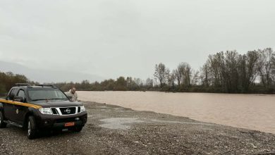 Photo of Καήκαμε από τον χυλό… και φυσάμε και το γιαούρτι» στα Τρίκαλα μετά τον Ντάνιελ