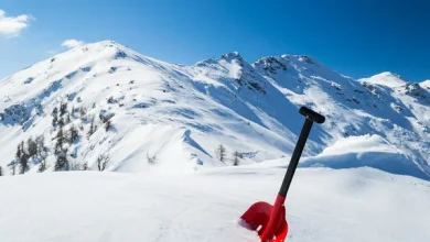Photo of Σχεδόν αγκαλιασμένοι εντοπίστηκαν οι τέσσερις ορειβάτες που χτυπήθηκαν από χιονοστιβάδα στα Βαρδούσια