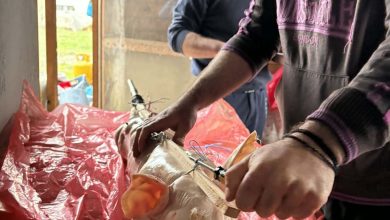 Photo of Όταν τα Τρίκαλα μυρίζουν Χριστούγεννα, γουρνοπούλα και… Ζαρούλα