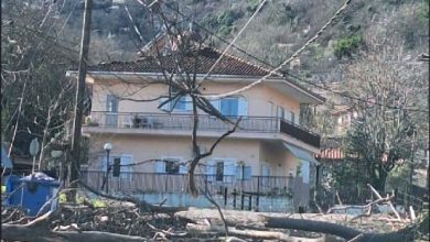 Photo of Χήρας: Κρανίου τόπος η Πιάλεια! Από τύχη δεν θρηνήσαμε θύματα: Η εγκληματική αμέλεια του Δ. Πύλης, «λυγίζει» τα δέντρα