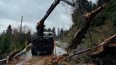 Photo of Αποκαταστάθηκε η κυκλοφορία στον δρόμο Χρυσομηλιάς – Περτουλίου