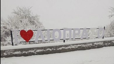 Photo of Λευκός κλοιός σε Αγριελιά και Λιόπρασο – Ο Δήμος Τρικκαίων σε 24ωρη επιχείρηση εκχιονισμού