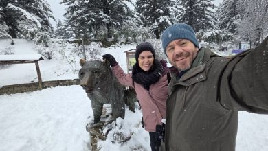 Photo of Με το που έπεσε το χιόνι, βρέθηκε στην αρκούδα του Μετσόβου