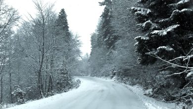 Photo of Θεαματικό πέρασμα σε έναν δρόμο που δοκιμάζεται από τη φύση – Εικόνες από τον ορεινό όγκο των Τρικάλων, 9 μέρες στο 2026