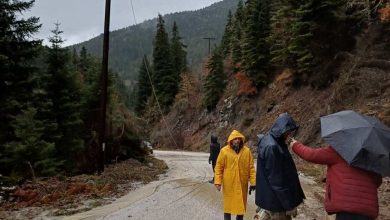 Photo of Συνεργεία και πρόεδρος στην πρώτη γραμμή: Μάχη με την κακοκαιρία στην Πίνδο για την αποκατάσταση του ρεύματος