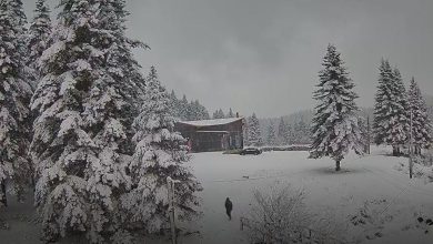 Photo of Στα λευκά τα ορεινά των Τρικάλων – Συνεχείς χιονοπτώσεις και τσουχτερό κρύο στα μέσα Ιανουαρίου