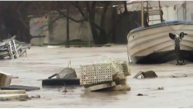 Photo of Πλημμύρισαν τα παράλια στη Λάρισα – «Ποτάμια» περνούν μέσα από σπίτια και επιχειρήσεις
