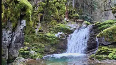 Καταρράκτης μέσα στο καταπράσινο δάσος του Ασπροποτάμου