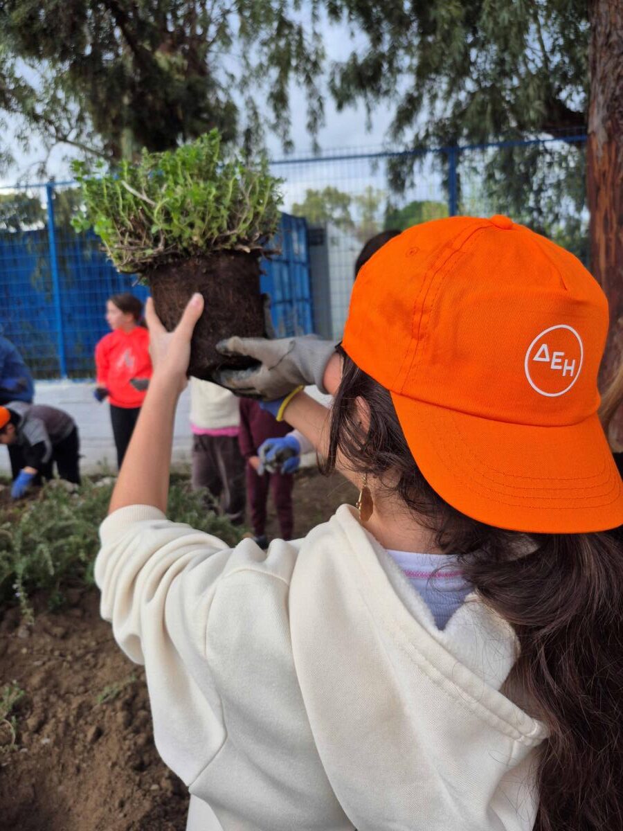 Δράση Sustainability Seeds της ΔΕΗ και της WE4ALL στη Βόρεια Εύβοια