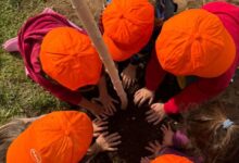 Δράση του προγράμματος Sustainability Seeds της ΔΕΗ και της WE4ALL στη Βόρεια Εύβοια
