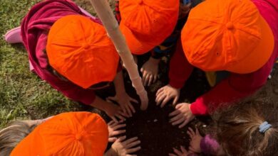 Δράση του προγράμματος Sustainability Seeds της ΔΕΗ και της WE4ALL στη Βόρεια Εύβοια